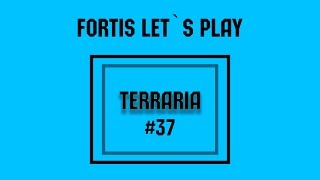 Terraria 1.3.3 Expert   #37 Культист и Небесные башни