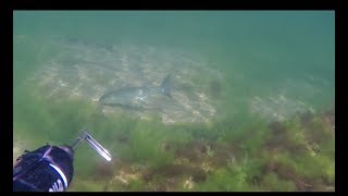 В поисках кефали в Каспийском Море(Дагестан)