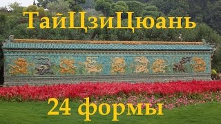 Тайцзицюань, Стиль Ян, 24 формы, Китайский мастер