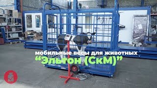 Мобильные весы для животных Эльтон (СкМ)