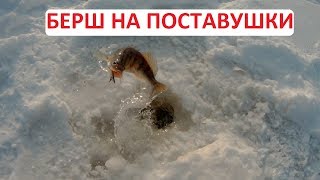 Ловля судака и берша на поставушки с тюлькой.