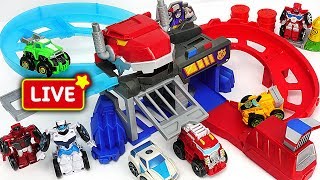 DuDuPopTOY Live Streaming