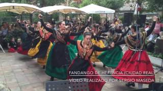 Fandango de Herencia (Ciudad Real)