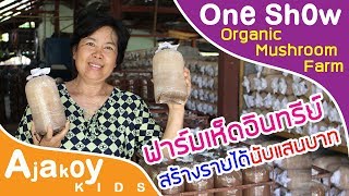ฟาร์มเห็ดนางฟ้าภูฏานอินทรีย์ Organic Mushroom Farm | เกษตรครอบครัว
