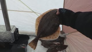 Кумбыш 2018