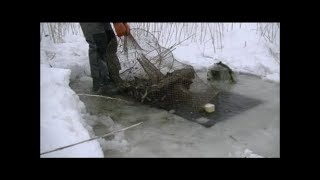 Рыбалка в декабре фитилями (вентерями) . На ротана!