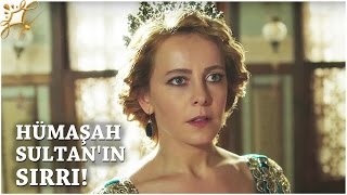 Muhteşem Yüzyıl: Kösem 20.Bölüm | Hümaşah Sultan'ın sırrı!