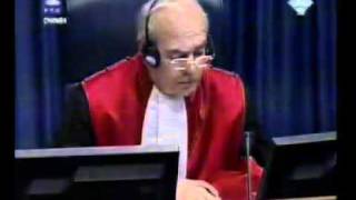 Војислав Шешељ - Сведок (Т) Вилим Карловић 07/30