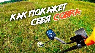 НАЙТИ ЖЕЛЕЗО С МЕТАЛЛОИСКАТЕЛЕМ COBRA T250!!! Коп металлолома