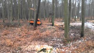 Multicar m26 im Wald