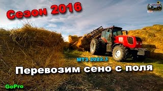 73-д. 2016 "Перевозим сено с поля МТЗ 2022.3"