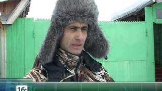 Искусственное осеменение коров