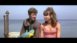 Pierrot le fou (1965) -   Qu'est ce que je peux faire?