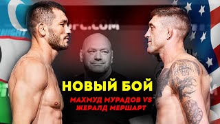 АНА ХОЛОС! Makhmud Muradov vs. Gerald Meerschaert / МАХМУД МУРАДОВ vs ДЖЕРАЛЬД МЕРШАРТ / ЯНГИ ЖАНГ