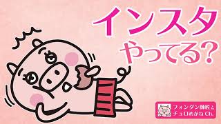 【初心者向け】インスタの始め方！Instagramの始め方と使い方とは？