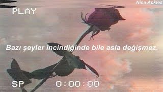 Jesse Rutherford - Bloom Later (Türkçe Çeviri)
