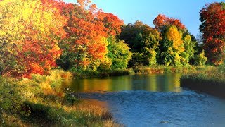 Красивая музыка для души.Слушать хорошую музыку для души.Красивая золотая осень,природа,музыка.