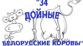 34 белорусские дойные коровы!, или как "шикуют" белорусские рабочие! / ТЛУМАЧ