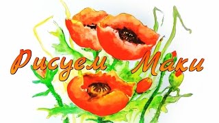 РИСУЕМ КРАСНЫЕ МАКИ АКВАРЕЛЬЮ (простой урок живописи)