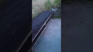 Строим понтон своими руками из бочек.
