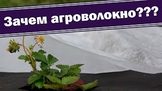 Парник для ранних овощей. Накрываем клубнику