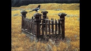 ДАХШАТЛИ ВОҚЕА! ГЎРКОВНИНГ ҲИКОЯСИ! БАРДОШИНГИЗ ЕТСА КЎРИНГ!