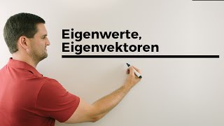 Eigenwerte, Eigenvektoren, Bildpunkt anschaulich, Lineare Abbildungen, Mathe by Daniel Jung