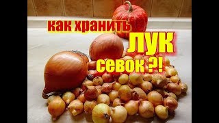 Время покупать лук севок. Как хранить лук севок до посадки!?! Сорта лука