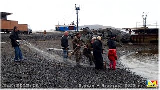 Старожилы суровой Чукотки. Проект Марии Карпинской "Неоткрытая Россия". Чукотка 2013