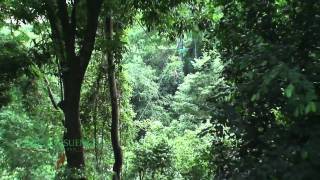 Canopy Tours in Jaco Beach Costa Rica, ZIp-Line Tours http://www.canopyvistalossuenos.com/