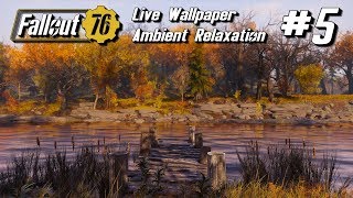 Fallout 76 Relaxation Live Wallpaper #5 (1 hour loop with music and sfx)