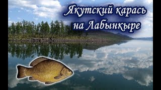 Якутский карась. Русская Рыбалка 3.99.