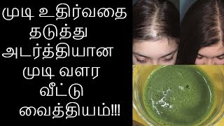 Mudi valara tips I mudi kottuvathai nirutha I mudi kottamal iruka tips I mudi adarthiyaga valara