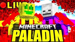 Minecraft PALADIN LIVESTREAM!!