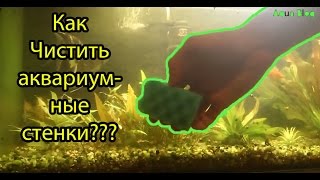Как чистить стенки в аквариуме,чистка стекл в аквариум Aqua Blog Подпишись!!!