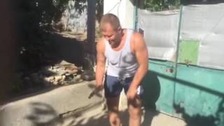 Собака, которую никогда не гладили