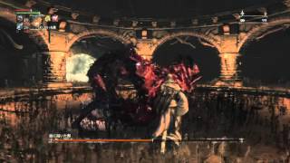 Bloodborne　初期レベルカンスト周回23 　血質血晶マラソン