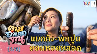 แบกถังคนละใบออก ยอนหอยหลอด จ.สตูล | ตามอำเภอจาน | 25 ม.ค.63  (1/3)