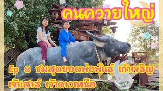 คนควายใหญ่ ep 8 ชมสุดยอดพ่อพันธุ์เก้าเจริญ ดาวเหนือและเจ้าเสาร์