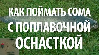 КАК ЛОВИТЬ СОМА на РЕКЕ - ПОПЛАВОЧНАЯ СНАСТЬ на СОМА