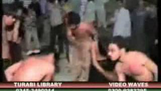 Ali Zia - Jangle main bharey ghar ko luta aye hai Zainab S.A