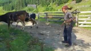 Vara la Bobeica - Izvoarele Sucevei Bucovina