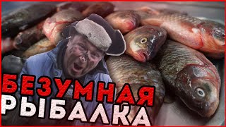 ЛОВЛЮ РЫБУ САЧКОМ В СВОЁМ ПРУДУ ЗИМОЙ | БЕЗУМНЫЙ РЫБОЛОВ ?
