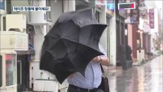 "강풍 대비 테이프, 창 말고 틀에 붙이세요"