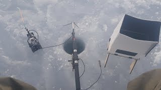 Видеоудочка бухта Парис о Русский  Underwater camera fishing in winter