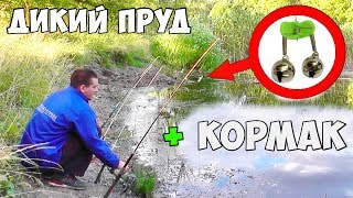 РЫБАЛКА на ДИКОМ ПРУДУ или КАРАСЬ на PopCorn до САМОЙ НОЧИ