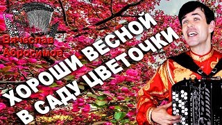 ХОРОШИ ВЕСНОЙ В САДУ ЦВЕТОЧКИ под баян - поет Вячеслав Абросимов