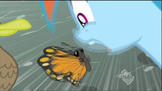 Rainbow Dash "You call that FAPPING???"
