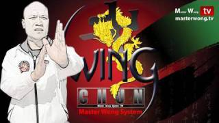 Wing Chun kung fu Chum Kiu form Preview