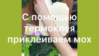 Создаем часы из натурального стабилизированного мха.